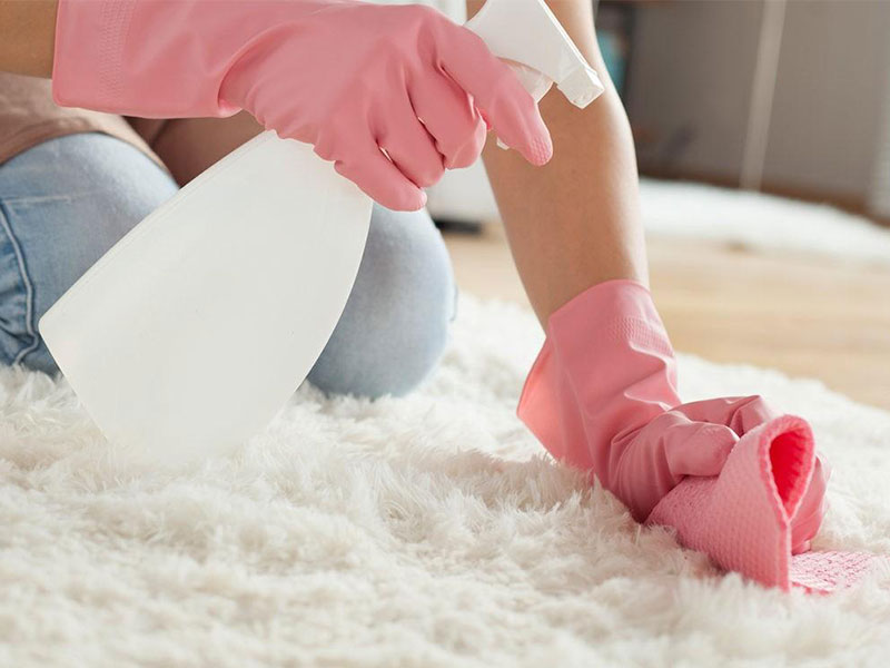 Особенности чистки ковра с коротким ворсом